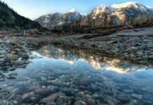 Les Gourdes Filtrantes : Pourquoi et Comment les Utiliser Illustration de l'article