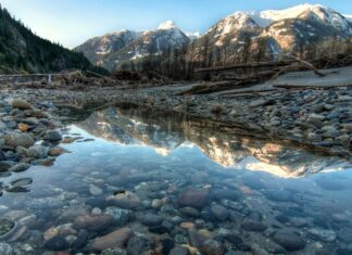 Les Gourdes Filtrantes : Pourquoi et Comment les Utiliser Illustration de l'article