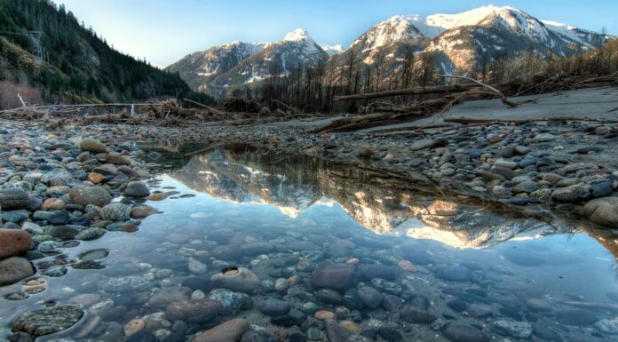 Les Gourdes Filtrantes : Pourquoi et Comment les Utiliser Illustration de l'article